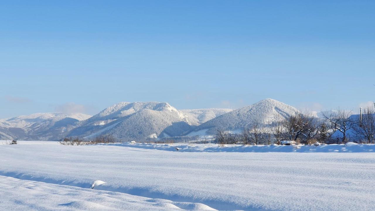 Vila Doliny Konska  ภายนอก รูปภาพ